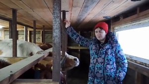 ОБЗОР НАШЕГО ХОЗЯЙСТВА! ДОЙКА КОРОВ ПО НОВОМУ!Melasty fixed milking system.