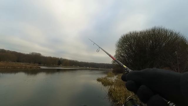 Спиннинг для джига. Champion rods Team Dubna. Вещь или очередная спекуляция? смотреть онлайн