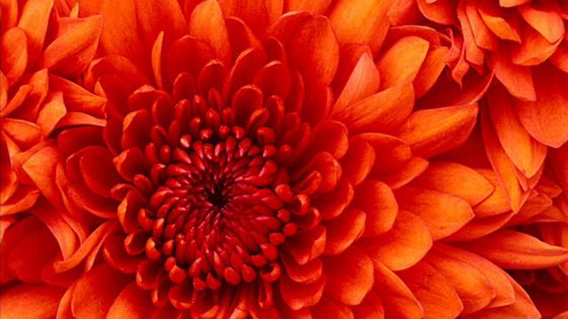 День учителя 2012 смотреть онлайн