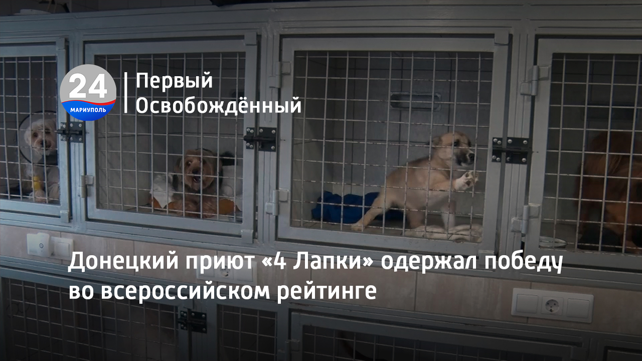 Приют для собак 4 лапы. Приют для собак в донецке 4 лапки. Приют 4 лапки. Приют четыре лапы в донецке. Приют четыре лапы в донецке.