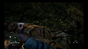 Как быстро и много заработать в Far Cry 4!