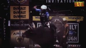 САМЫЙ БРУТАЛЬНЫЙ БЫК В ИСТОРИИ [Bushwacker]