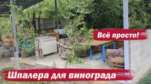 Шпалера для винограда