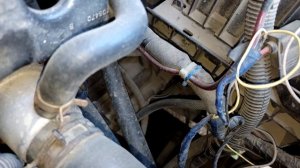 Не горит задний ход. Renault Laguna 2. Модификация.