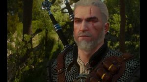 Как доказать сочувствие в игре Ведьмак 3 ?