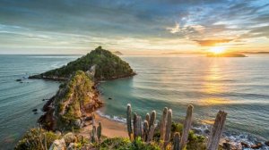 Я в весеннем лесу...