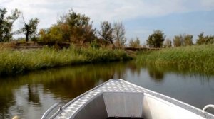 Wellboat 37 + Suzuki DT 9.9AS