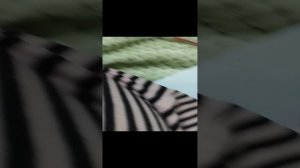 VID_20231212_203047.mp4