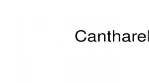 How to pronounce Cantharellus