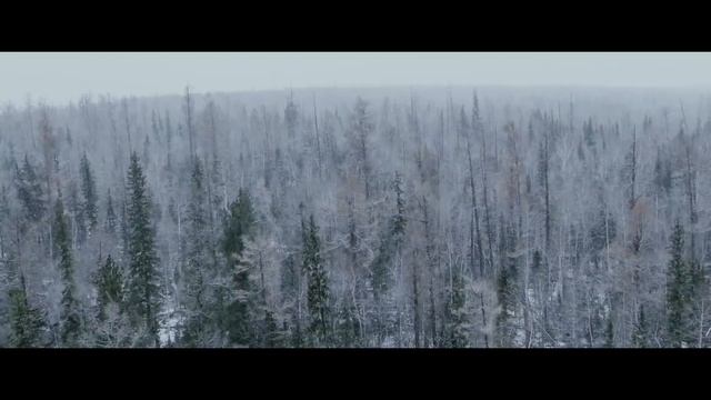 Родина  - Рутгер Гарехт | КЛИП
