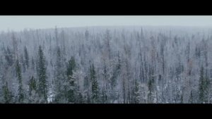 Родина  - Рутгер Гарехт | КЛИП