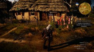 Прохождение Ведьмак 3: Дикая охота. Комната Цири. Охота на ведьму.