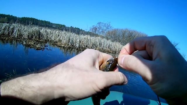 НА ЧТО ЛУЧШЕ КЛЮЕТ РЫБА ? Ловля на попла- поппер.What is better pecking fish Catching popper.