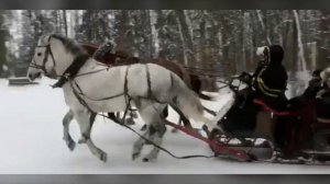 Русские тройки лошадей