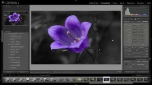 HowTo: ColorKeying in Lightroom 4 - Deutsch