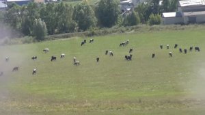 Сафажай вид со стороны Сада.   FULL HD качество