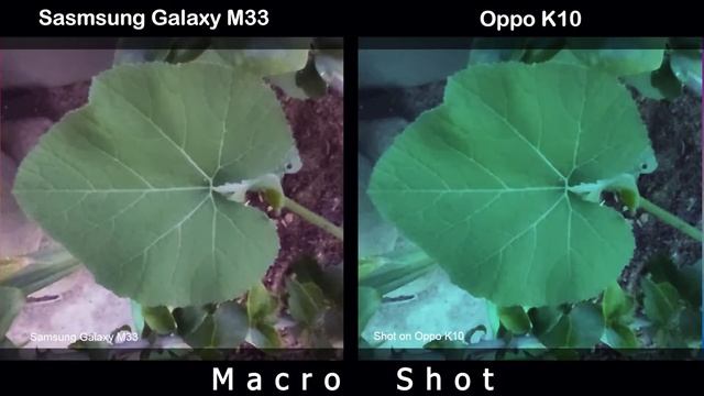 Samsung Galaxy M33 vs Oppo K10 | Camera Comparison | Camera Test | | смотреть онлайн
