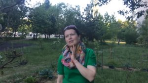 Огород около подъезда / Как отучить соседей выгуливать питомцев прямо под балконом - ЛАЙФХАК!