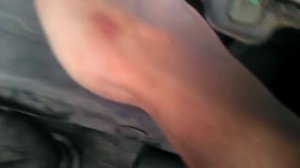 Трапеция primera p11