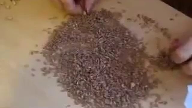 Учимся готовить узбекский плов от 0 до 100% смотреть онлайн