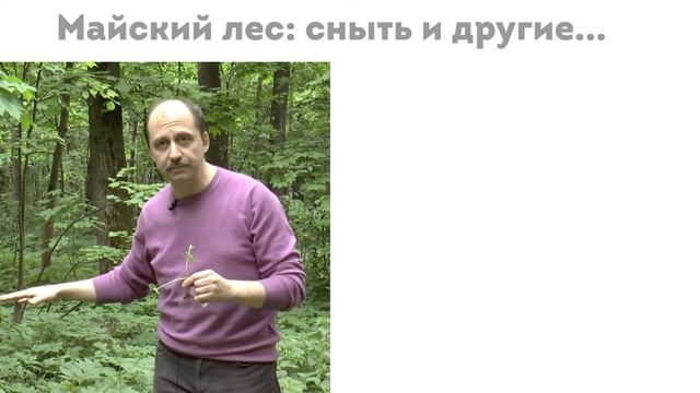 Таинственная жизнь растений. Выпуск 1 смотреть онлайн