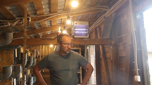 Сложности кролиководства в летний период. Жуткая жара и мошкара!