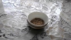 Пшеница для рыбалки