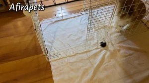 КЛЕТКА ДЛЯ КРОЛИКОВ/ ВОЛЬЕР ДЛЯ КРОЛИКОВ