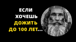 «Если хочешь жить спокойно, никогда не бери…» Мудрые ассирийские пословицы и поговорки