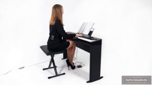 Обзор цифровых пианино от Casio PX-S3000 и PX-S1000