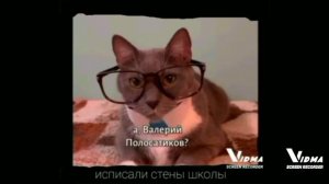 Kotiynet демотиватор серия урок с Валерием полосатиковым