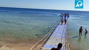 Краткий обзор територии отеля Sunrise Remal Beach 5* Sharm-El-Sheikh