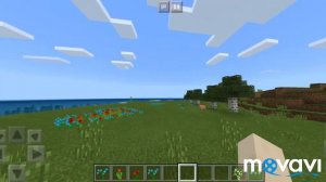 Незабудка Тима белорусских в Майнкрафте