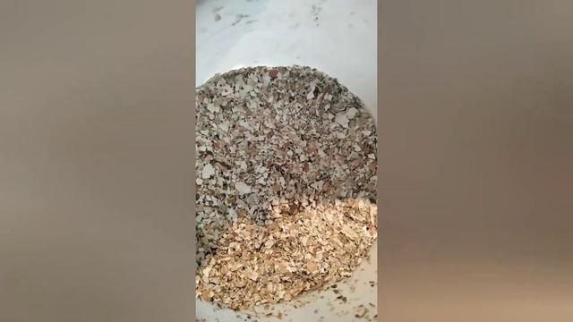 Народное средство от медведки