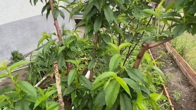 #влог Чисто по-человечески/ Очередной ролик «ни о чем»/Переезд на юг/Life in Russia смотреть онлайн