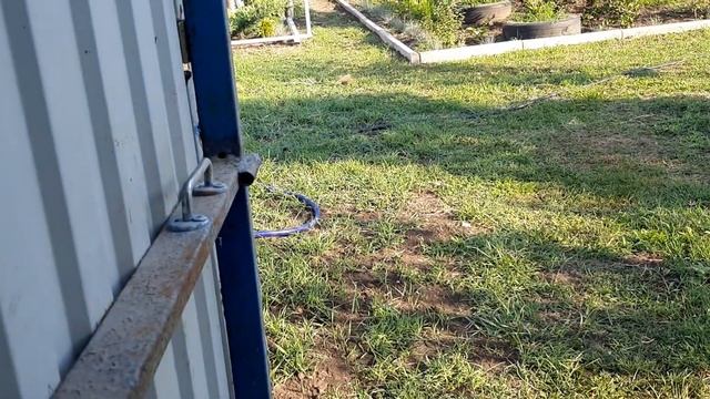 424.Если на участке мало места значить пора наводить порядок. смотреть онлайн