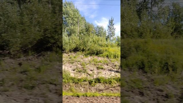 Вид из окна