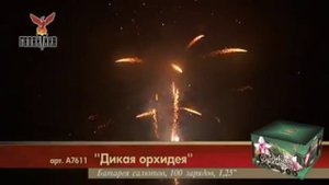 Дикая орхидея (1,25"х100) 1/1/1 А7611