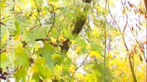 Клуб Суперкниги #33. Упрямство