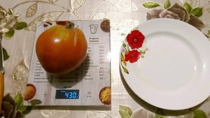 ОБЗОР ТОМАТА  АНАНАСНОЕ СЕРДЦЕ. Суперурожайный сорт.