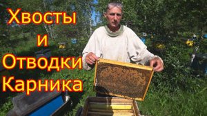 Ревизия Отводков и Хвостов