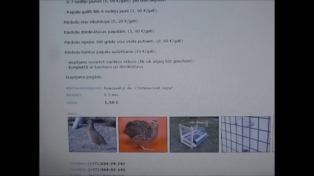 Перепела. Бизнес. смотреть онлайн