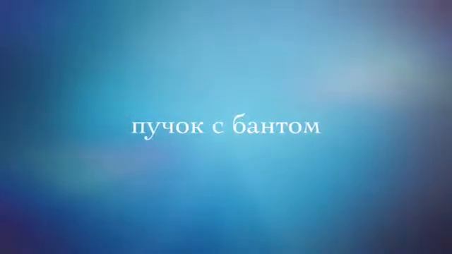 Виды пучков смотреть онлайн