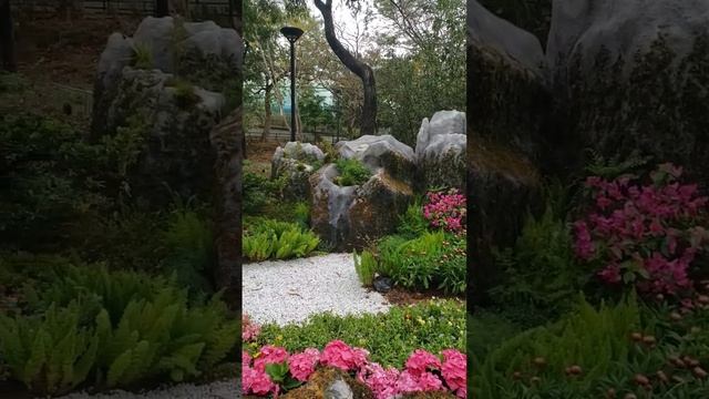 amazing landscape #landscape #formation #plants #satisfying #asmr