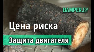 Защита двигателя. Цена риска