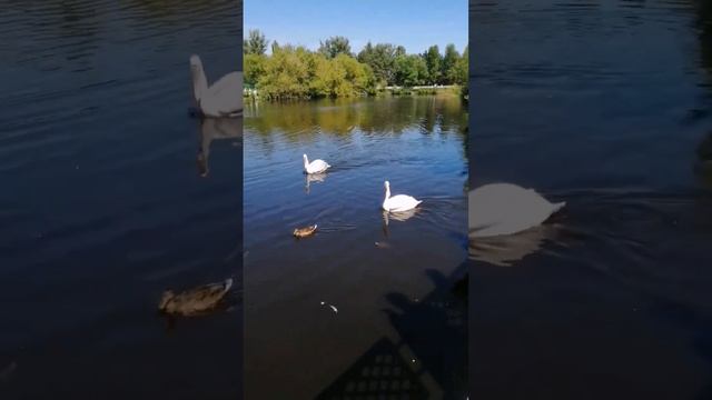 ЗООПАРК, РОСТОВ! СКОРО ВЫЙДЕТ  ВИДЕО НА КАНАЛЕ.