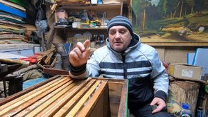 ✅ Как ЗАМЕНИТЬ МАТКУ в мае маточником! #ПЧЕЛОВОДСТВО3 НАЧИНАЮЩИМ С НУЛЯ!
