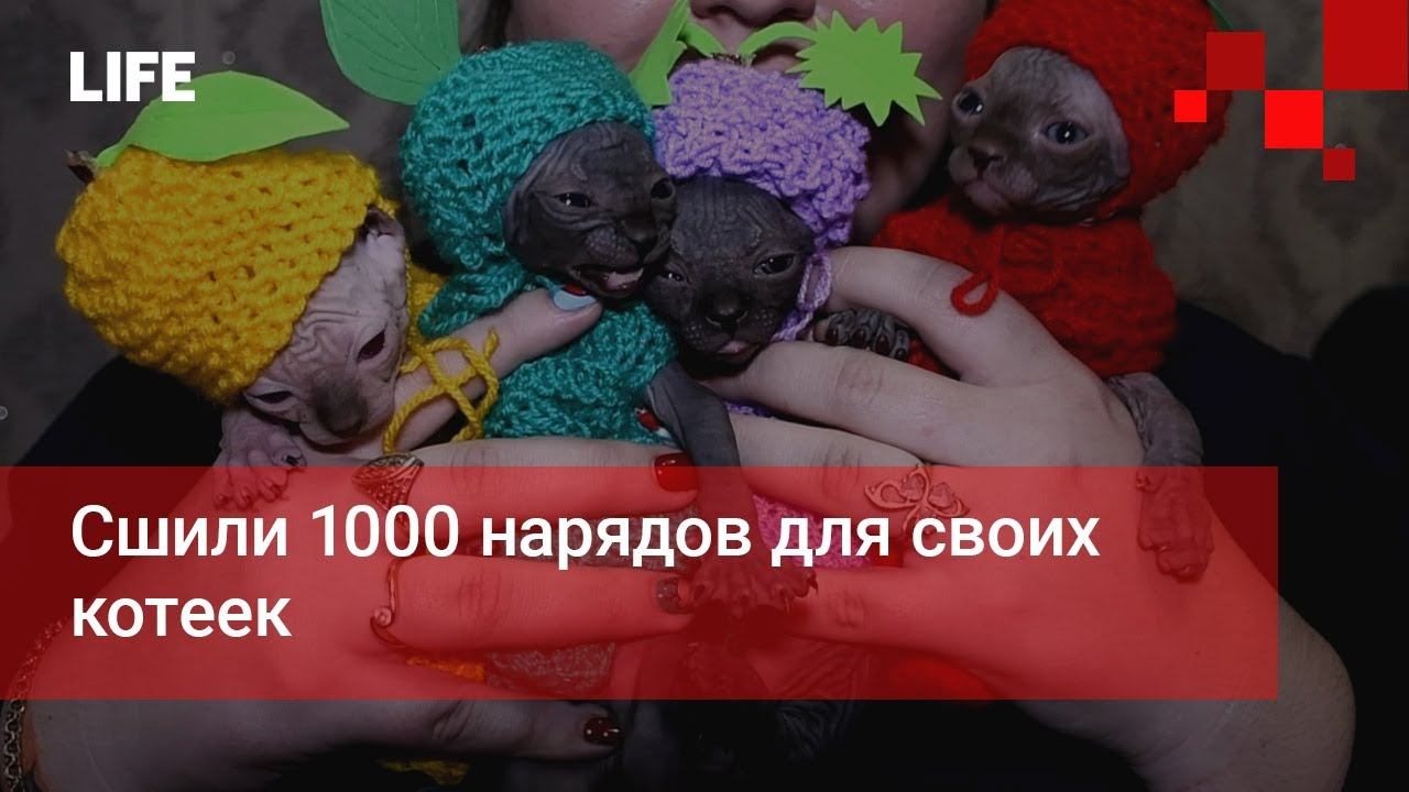 Сшили 1000 нарядов для своих котеек