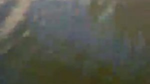 Рыбалка на реке Осетр.