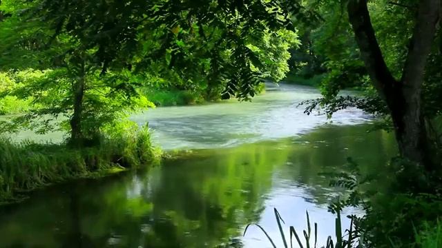Звуки природы для сердца и сосудов. Исцеление Музыкой.Релакс.